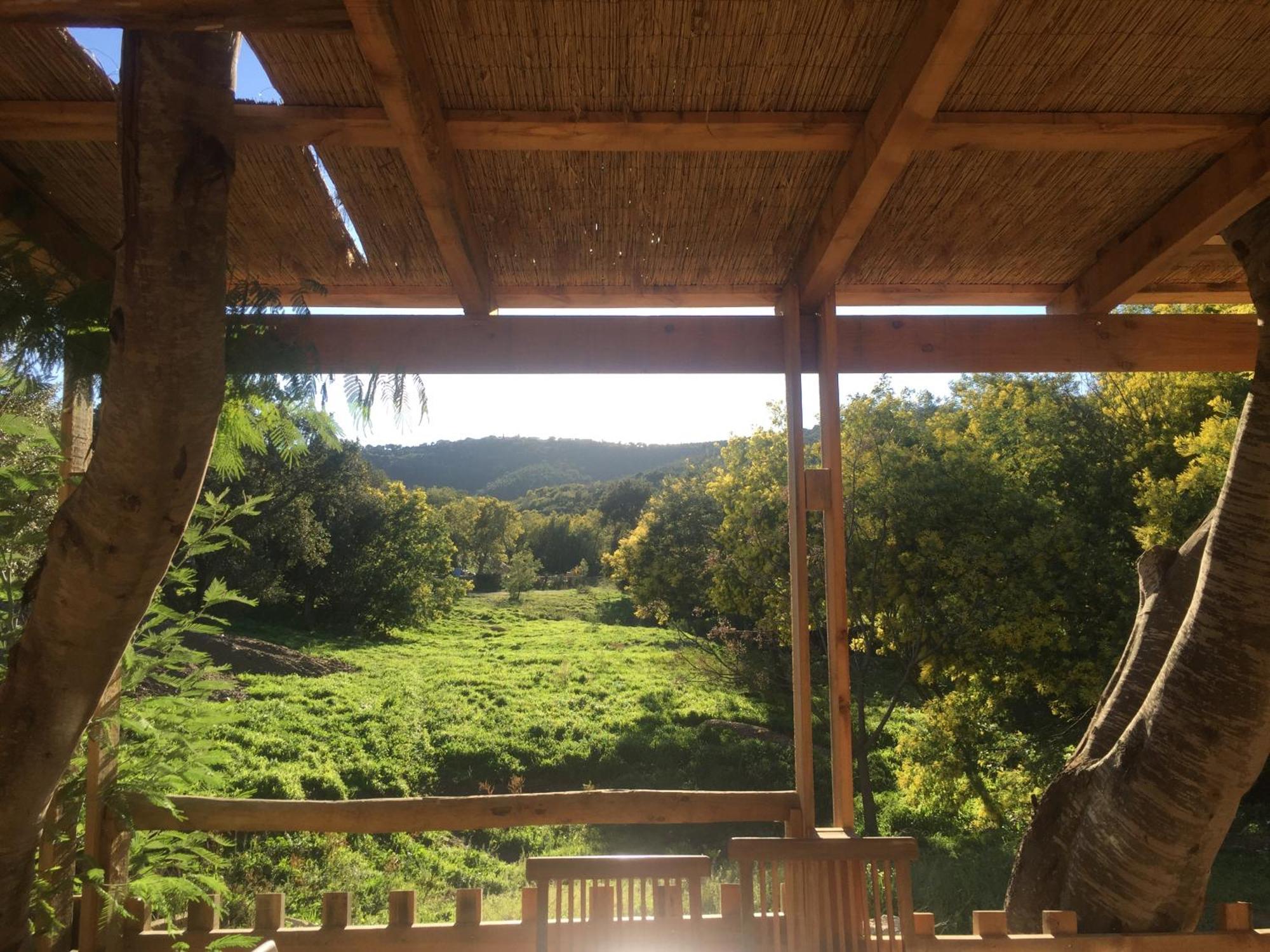 Au Paradis Des Campeurs Les Issambres Exterior photo